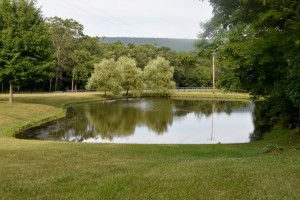 pond